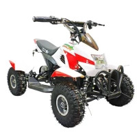 Электроквадроцикл GreenCamel Гоби K12 (24V 350W R4 Цепной привод) Красно-белый